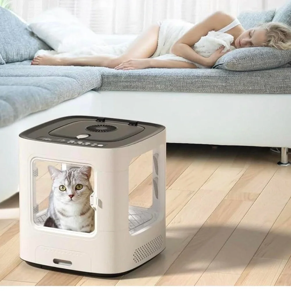 Modern Pet Carrier with Viewing Window